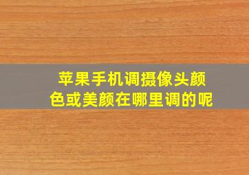 苹果手机调摄像头颜色或美颜在哪里调的呢