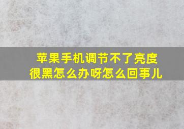 苹果手机调节不了亮度很黑怎么办呀怎么回事儿