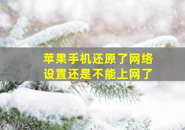 苹果手机还原了网络设置还是不能上网了