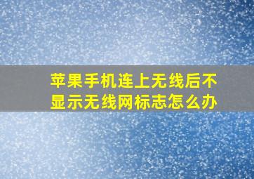 苹果手机连上无线后不显示无线网标志怎么办