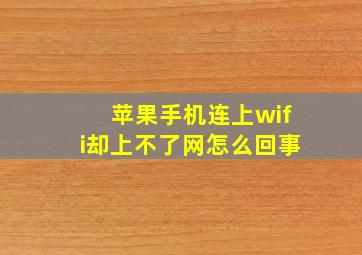 苹果手机连上wifi却上不了网怎么回事