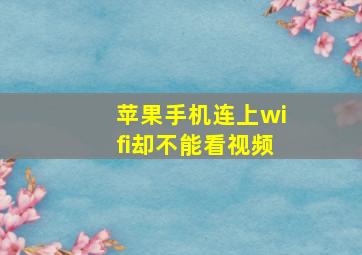 苹果手机连上wifi却不能看视频