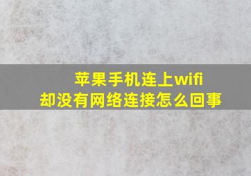 苹果手机连上wifi却没有网络连接怎么回事