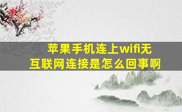 苹果手机连上wifi无互联网连接是怎么回事啊