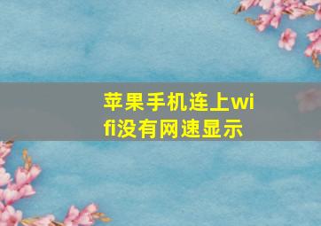 苹果手机连上wifi没有网速显示