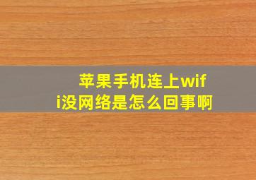 苹果手机连上wifi没网络是怎么回事啊