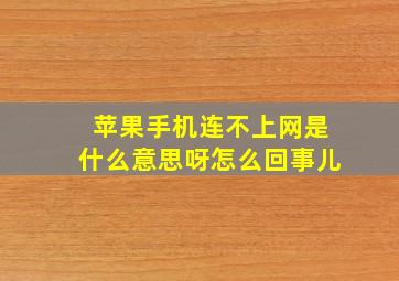 苹果手机连不上网是什么意思呀怎么回事儿