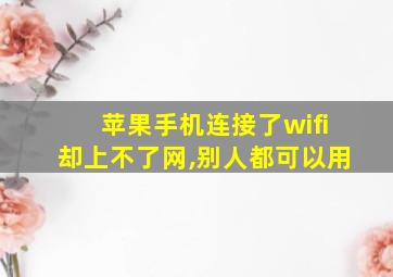 苹果手机连接了wifi却上不了网,别人都可以用