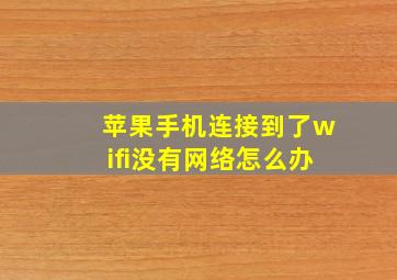 苹果手机连接到了wifi没有网络怎么办