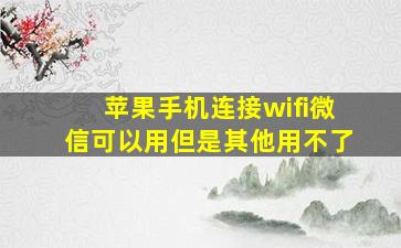 苹果手机连接wifi微信可以用但是其他用不了