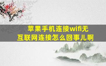 苹果手机连接wifi无互联网连接怎么回事儿啊