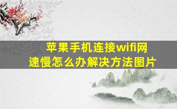 苹果手机连接wifi网速慢怎么办解决方法图片