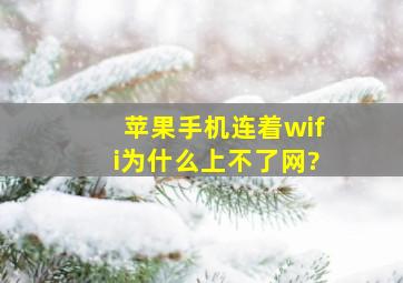 苹果手机连着wifi为什么上不了网?