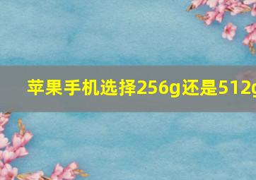 苹果手机选择256g还是512g