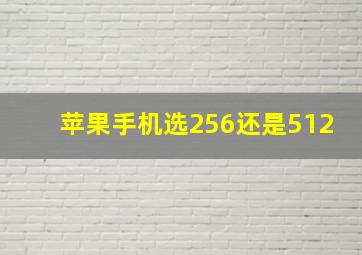 苹果手机选256还是512