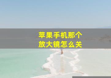 苹果手机那个放大镜怎么关