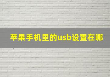 苹果手机里的usb设置在哪