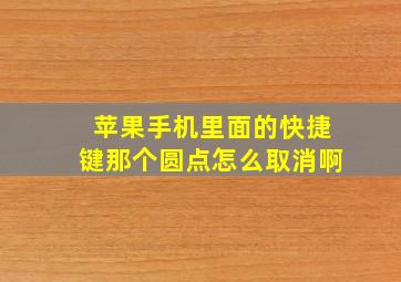 苹果手机里面的快捷键那个圆点怎么取消啊