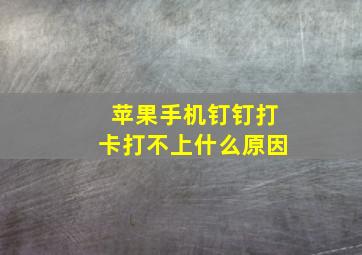 苹果手机钉钉打卡打不上什么原因