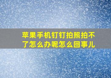 苹果手机钉钉拍照拍不了怎么办呢怎么回事儿