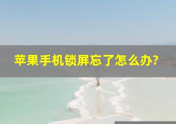 苹果手机锁屏忘了怎么办?