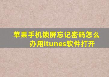 苹果手机锁屏忘记密码怎么办用itunes软件打开