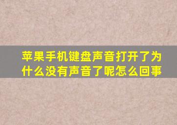 苹果手机键盘声音打开了为什么没有声音了呢怎么回事