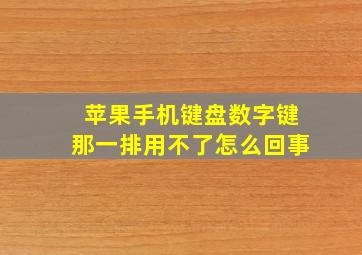 苹果手机键盘数字键那一排用不了怎么回事