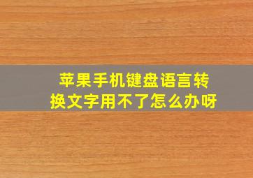 苹果手机键盘语言转换文字用不了怎么办呀