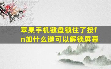 苹果手机键盘锁住了按fn加什么键可以解锁屏幕