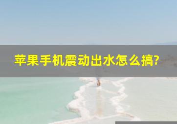 苹果手机震动出水怎么搞?