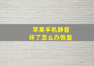 苹果手机静音坏了怎么办恢复