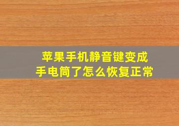 苹果手机静音键变成手电筒了怎么恢复正常