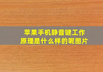 苹果手机静音键工作原理是什么样的呢图片