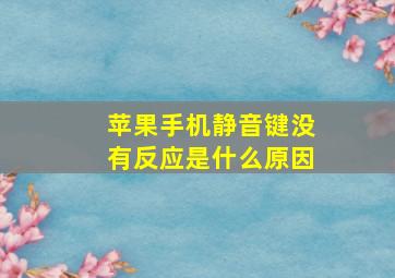 苹果手机静音键没有反应是什么原因