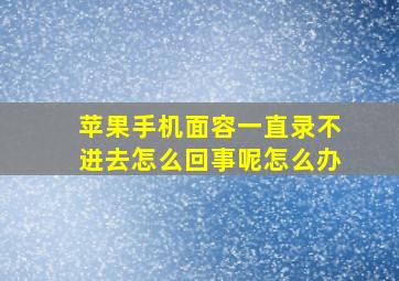 苹果手机面容一直录不进去怎么回事呢怎么办