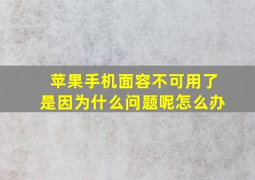 苹果手机面容不可用了是因为什么问题呢怎么办