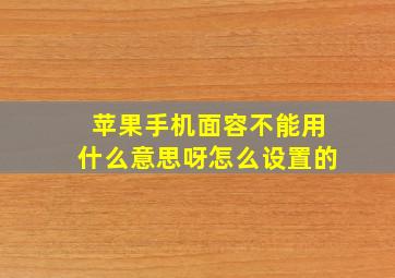 苹果手机面容不能用什么意思呀怎么设置的