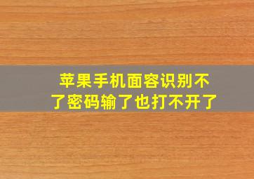 苹果手机面容识别不了密码输了也打不开了