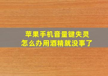 苹果手机音量键失灵怎么办用酒精就没事了