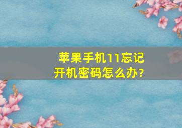 苹果手机11忘记开机密码怎么办?