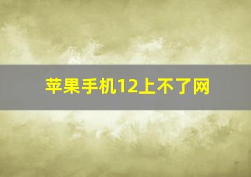 苹果手机12上不了网