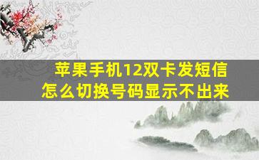 苹果手机12双卡发短信怎么切换号码显示不出来