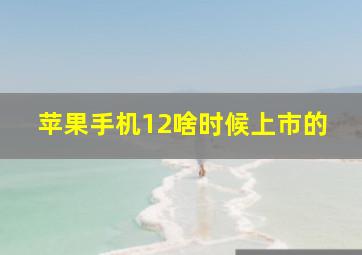 苹果手机12啥时候上市的