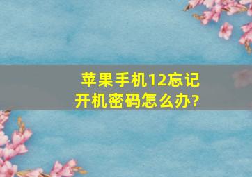 苹果手机12忘记开机密码怎么办?