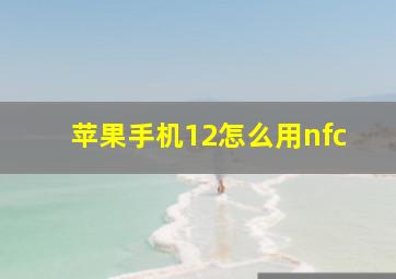 苹果手机12怎么用nfc