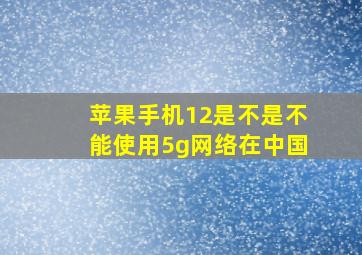 苹果手机12是不是不能使用5g网络在中国