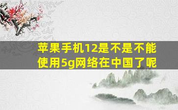 苹果手机12是不是不能使用5g网络在中国了呢