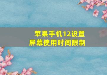 苹果手机12设置屏幕使用时间限制