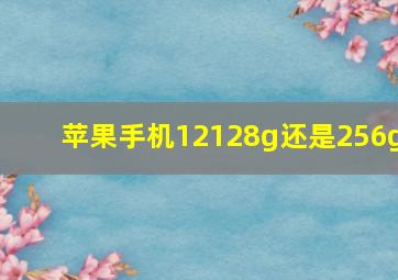 苹果手机12128g还是256g